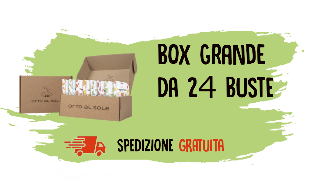 box large
