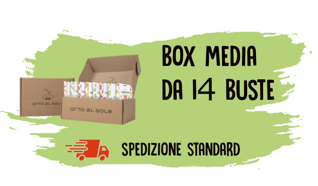 box media