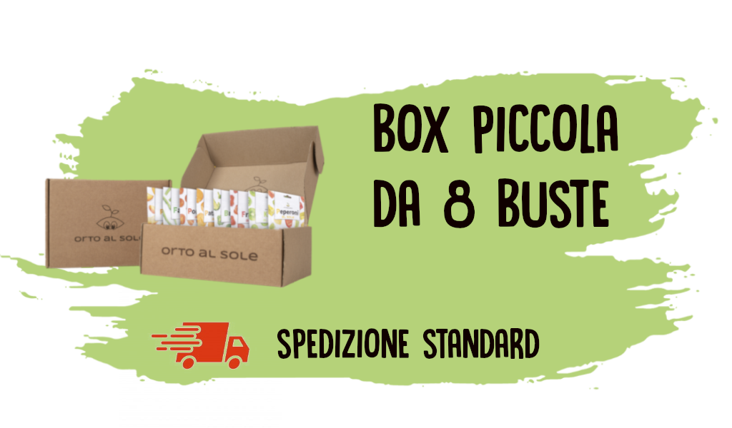 box small
